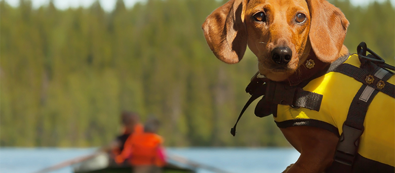 Family Boating