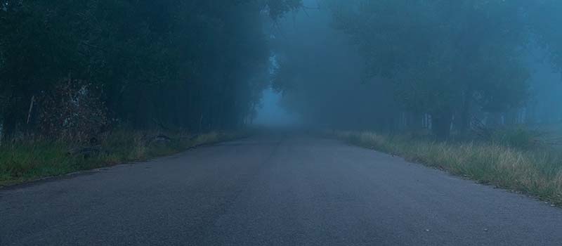 Dark Forest Road