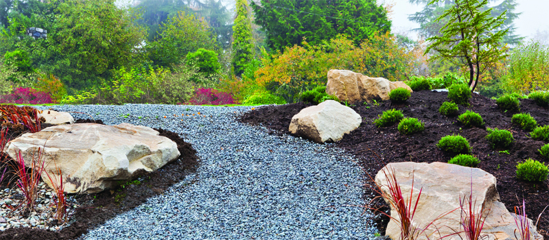 Gravel path through a landscaped area