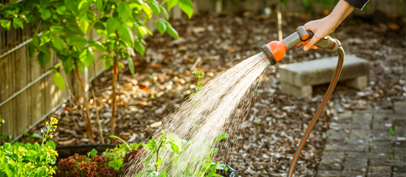 Watering a flower garden